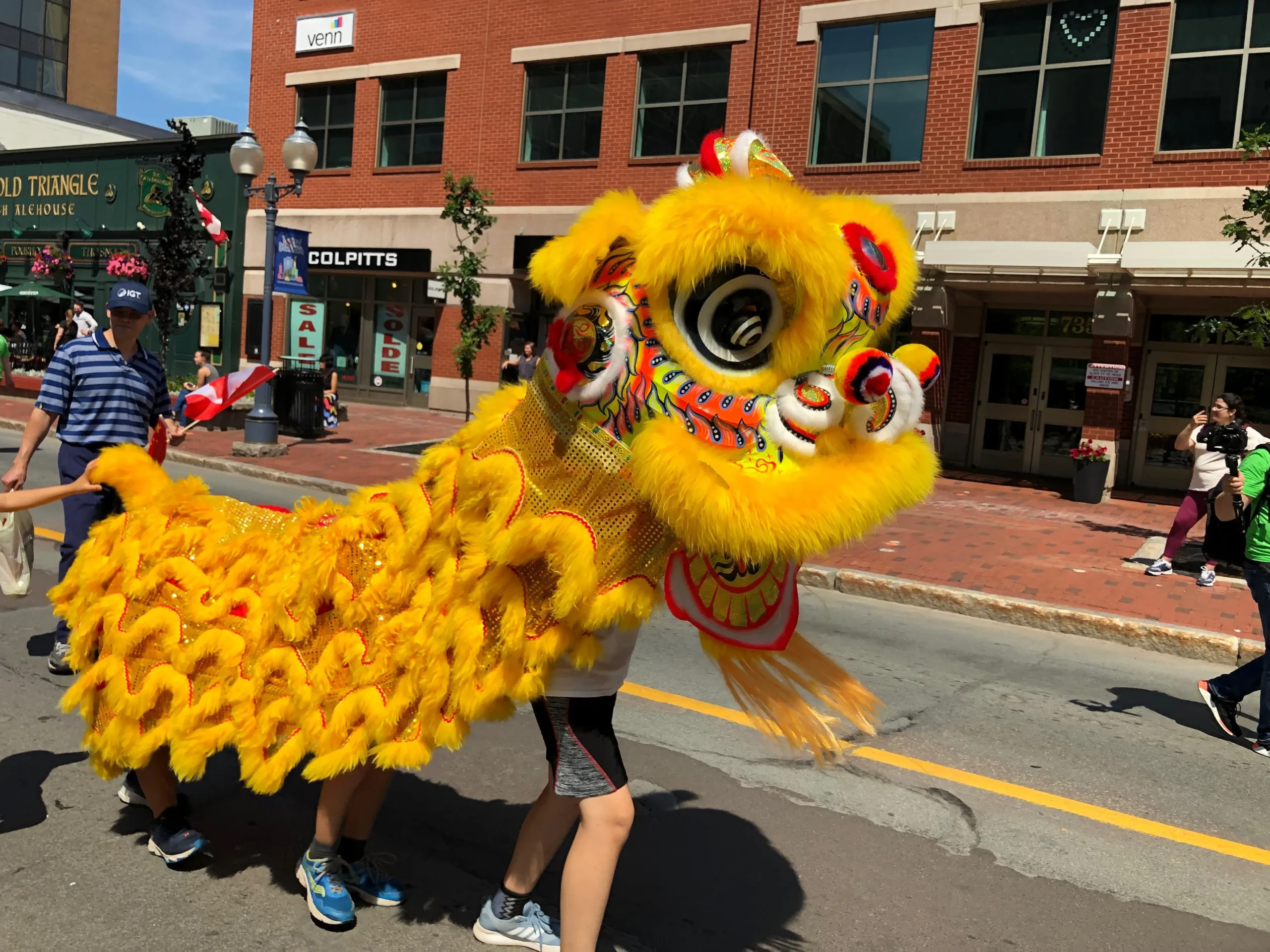 a sunflower in a field with a blue sky in the background